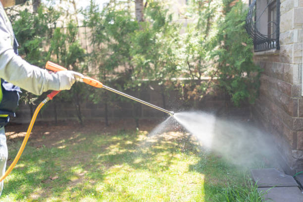 Best Pest Prevention Services  in Perryton, TX