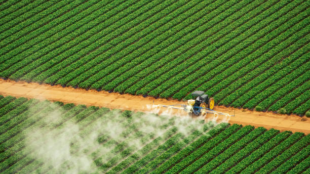 Best Pest Control Treatment  in Perryton, TX