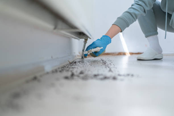 Best Pest Removal Services  in Perryton, TX